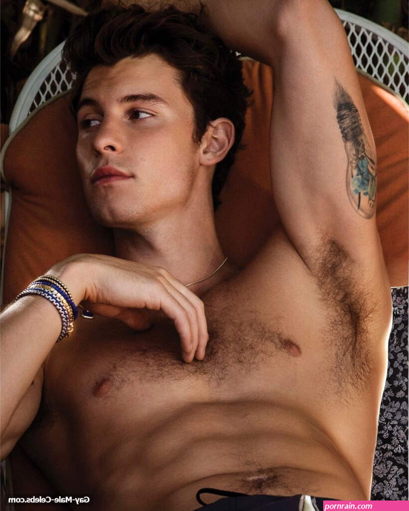 Shawn Mendes Nude