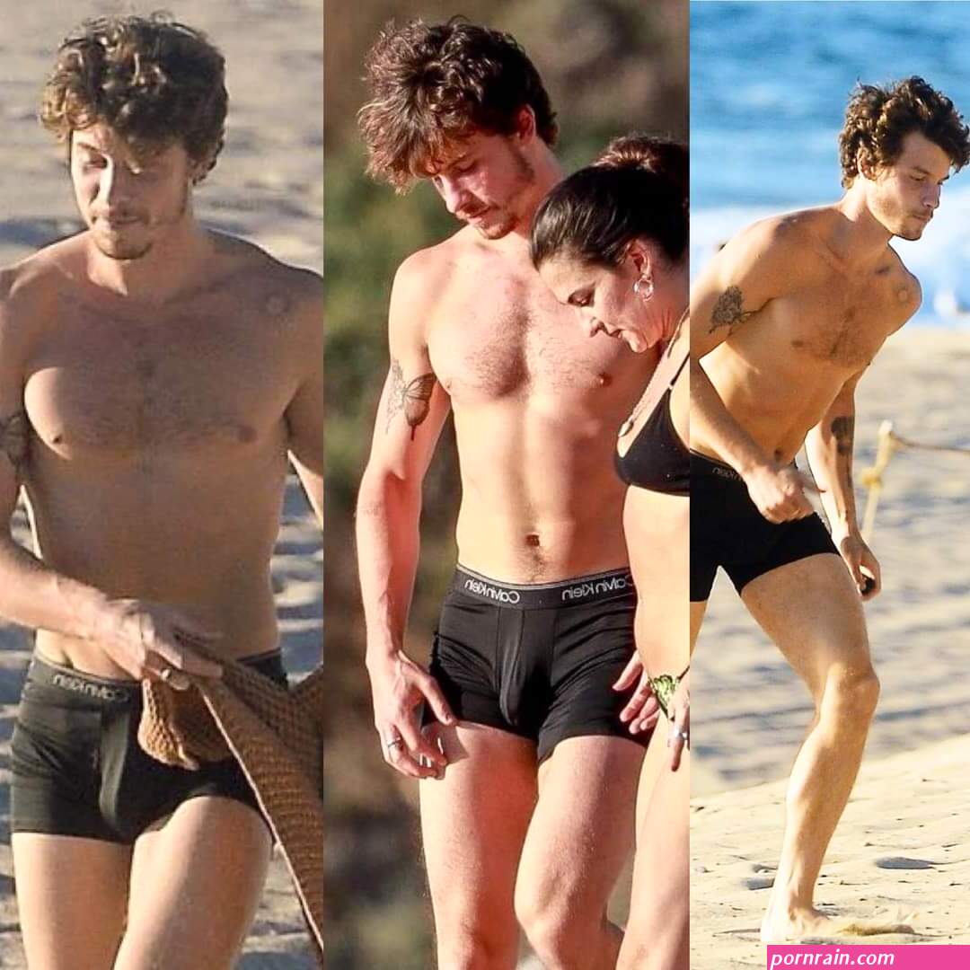 shawnmendes nude