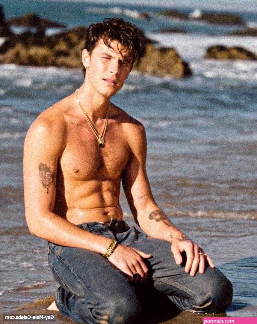 Shawn Mendes Nude