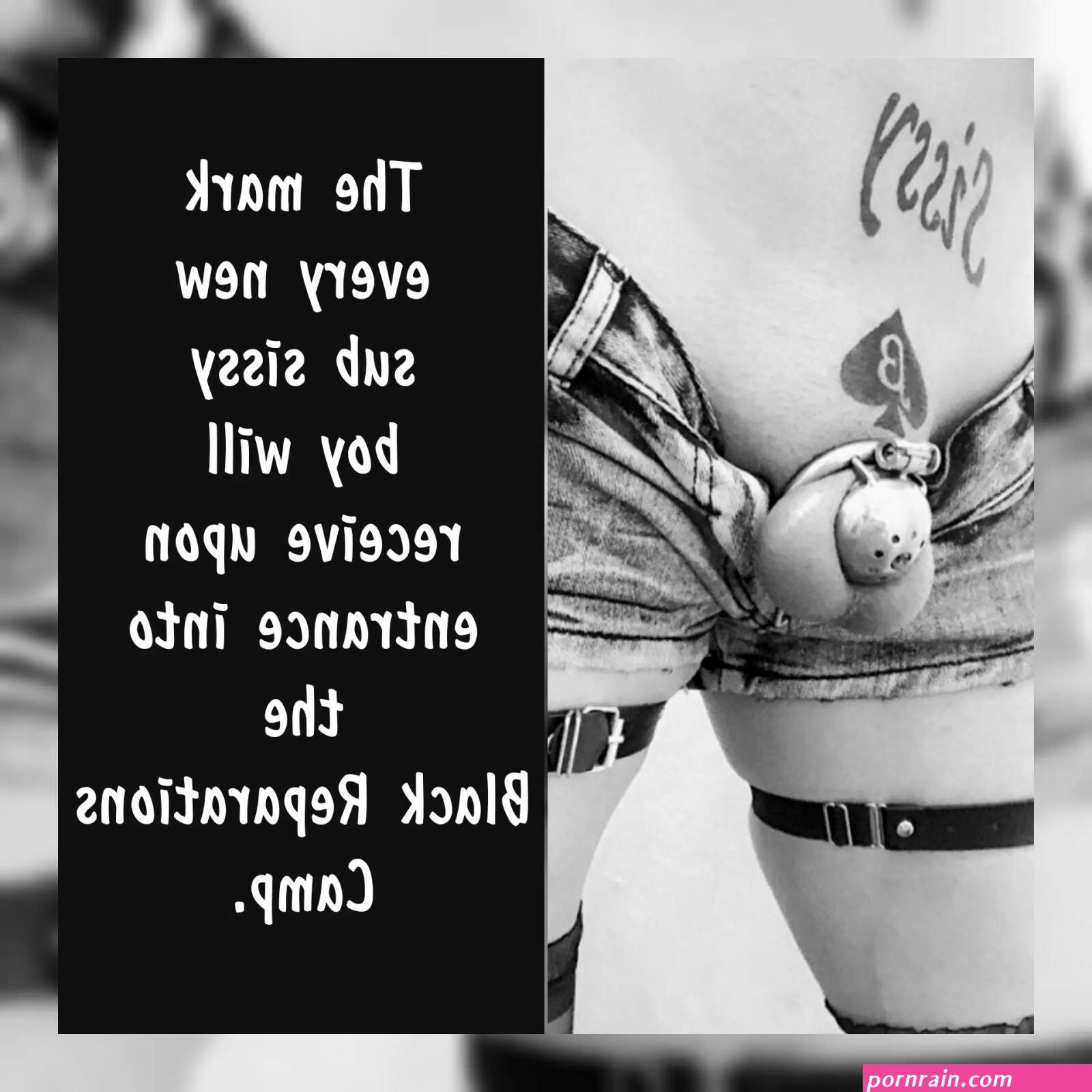 Life For Sissies In The BNWO