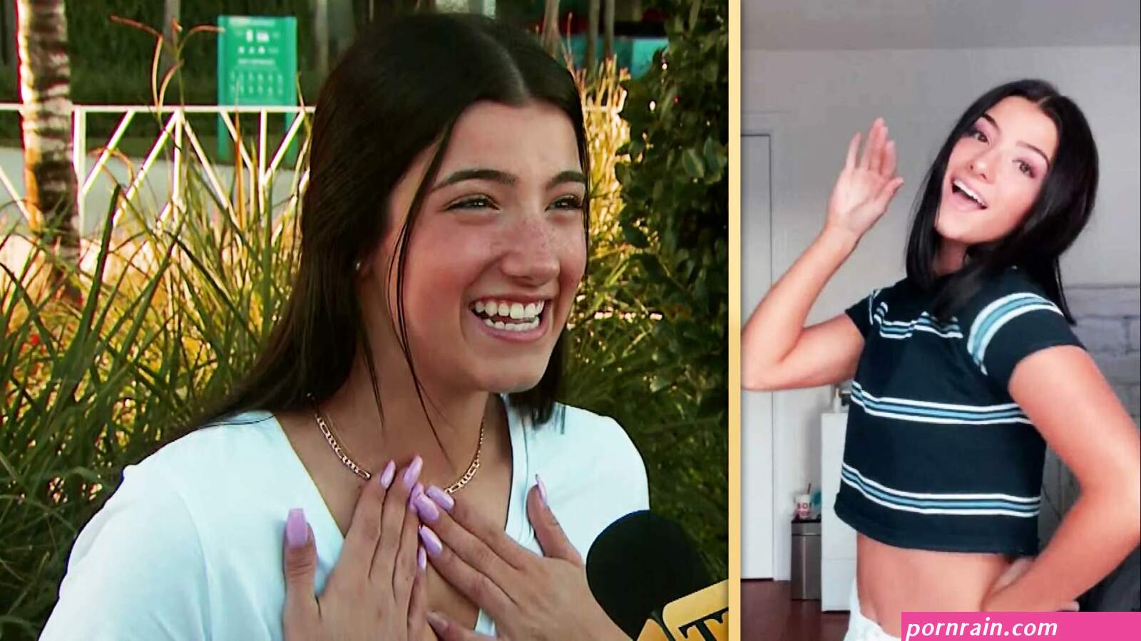 How Charli DAmelio Became the Queen of TikTok