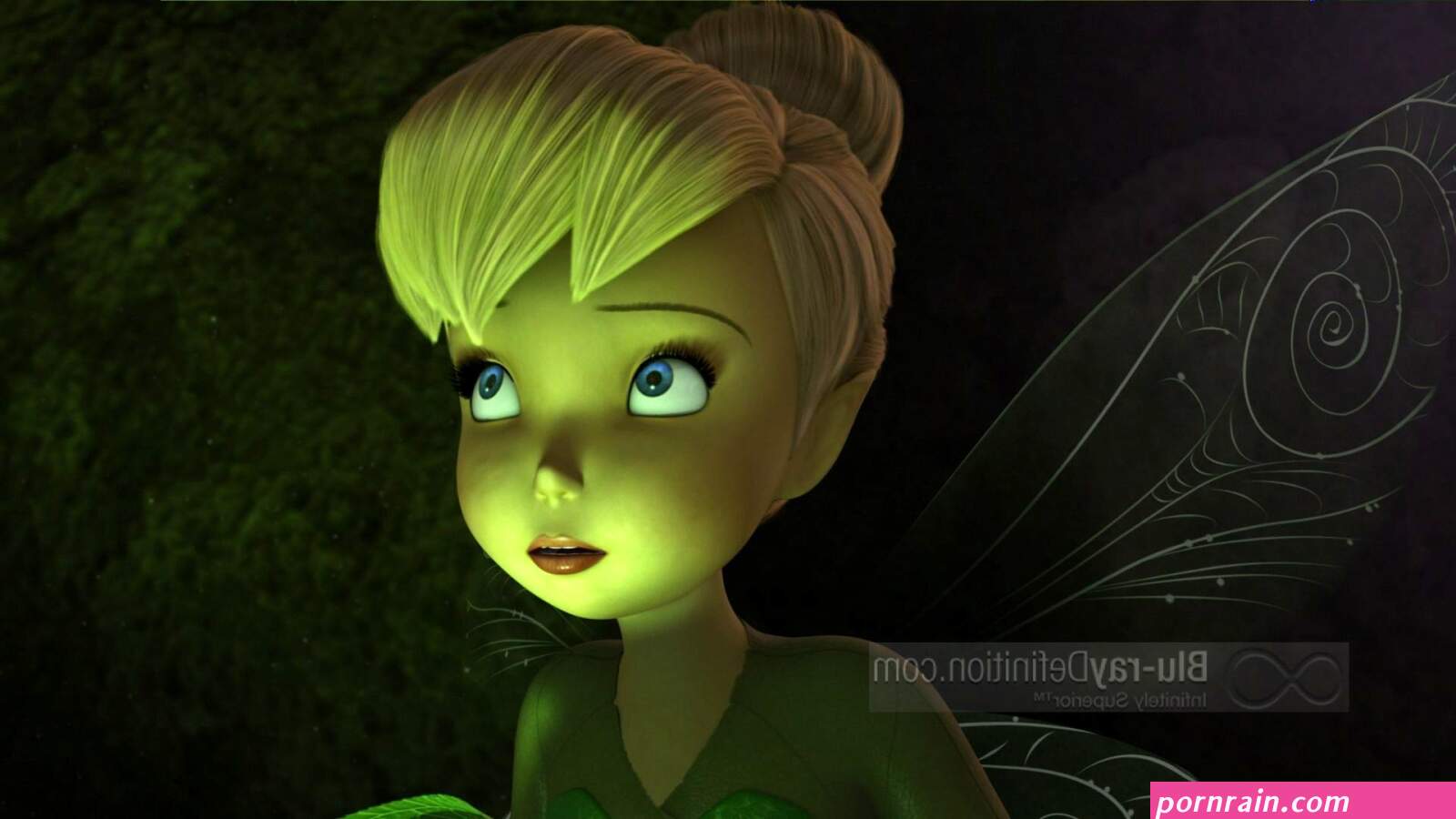 Tinkerbell Tinkerbell Disney fairies Disney