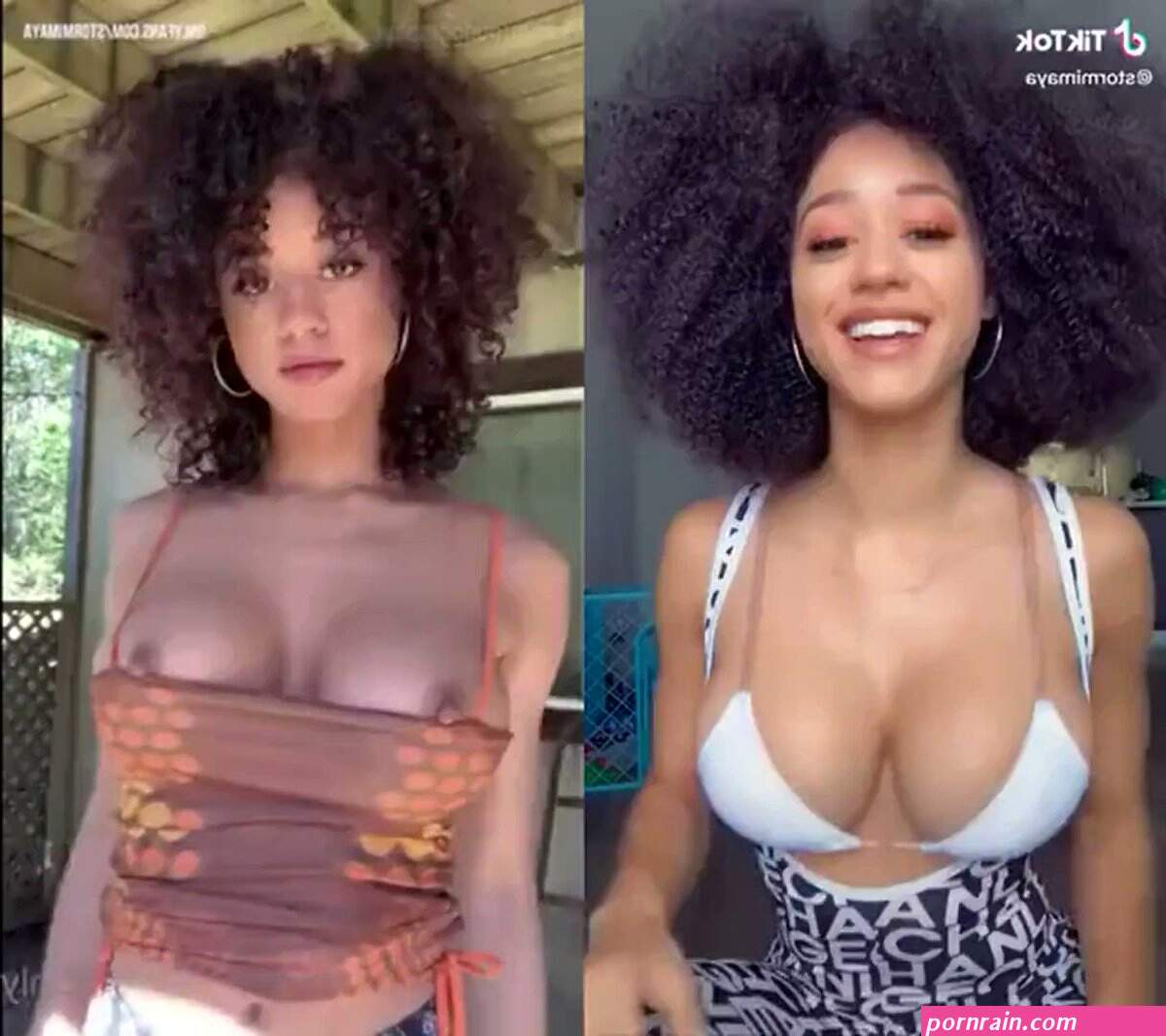 TIKTOK14 Twitter Video Tools