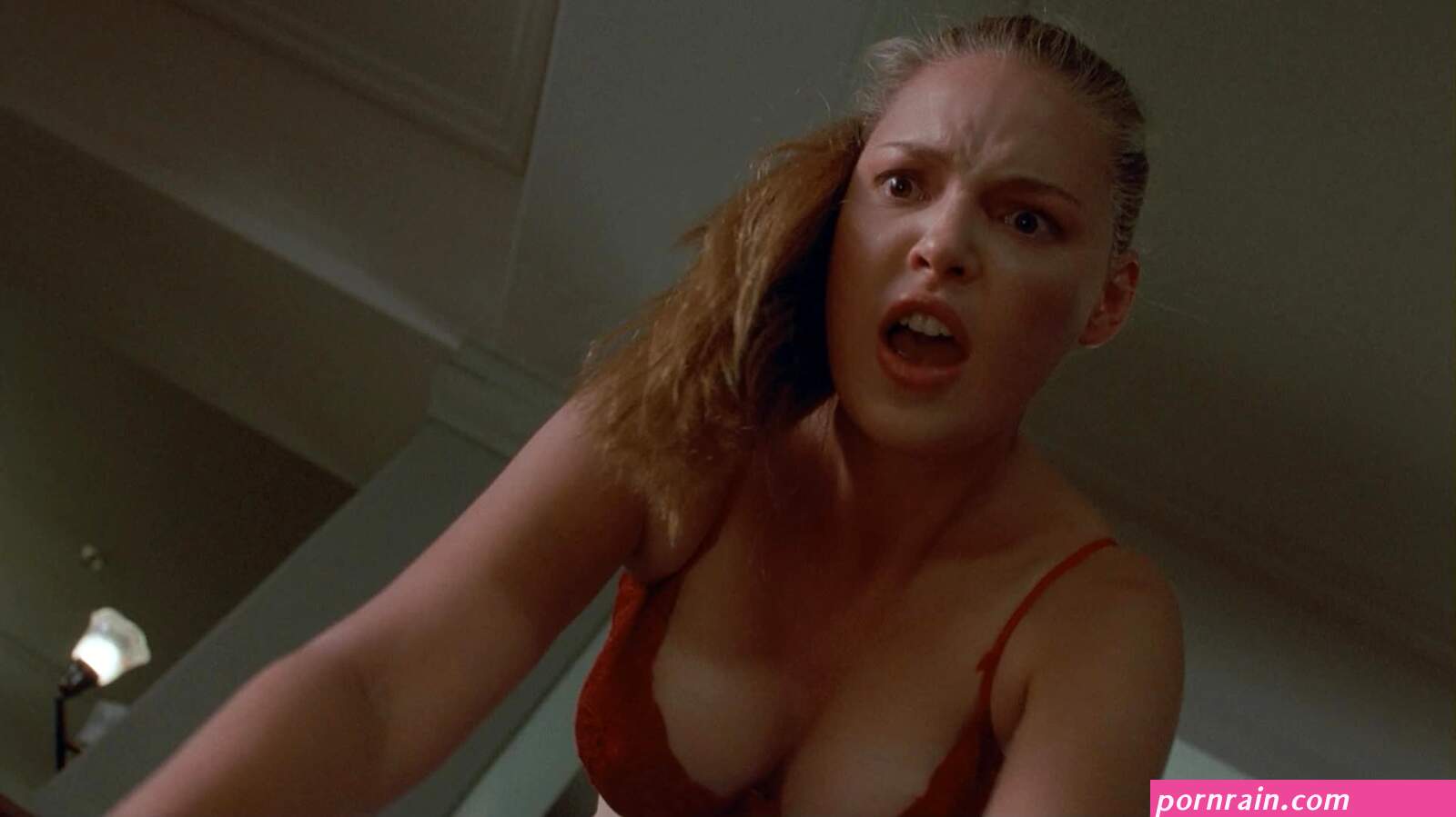 Nude Scenes: Katherine Heigl in 100 Girls