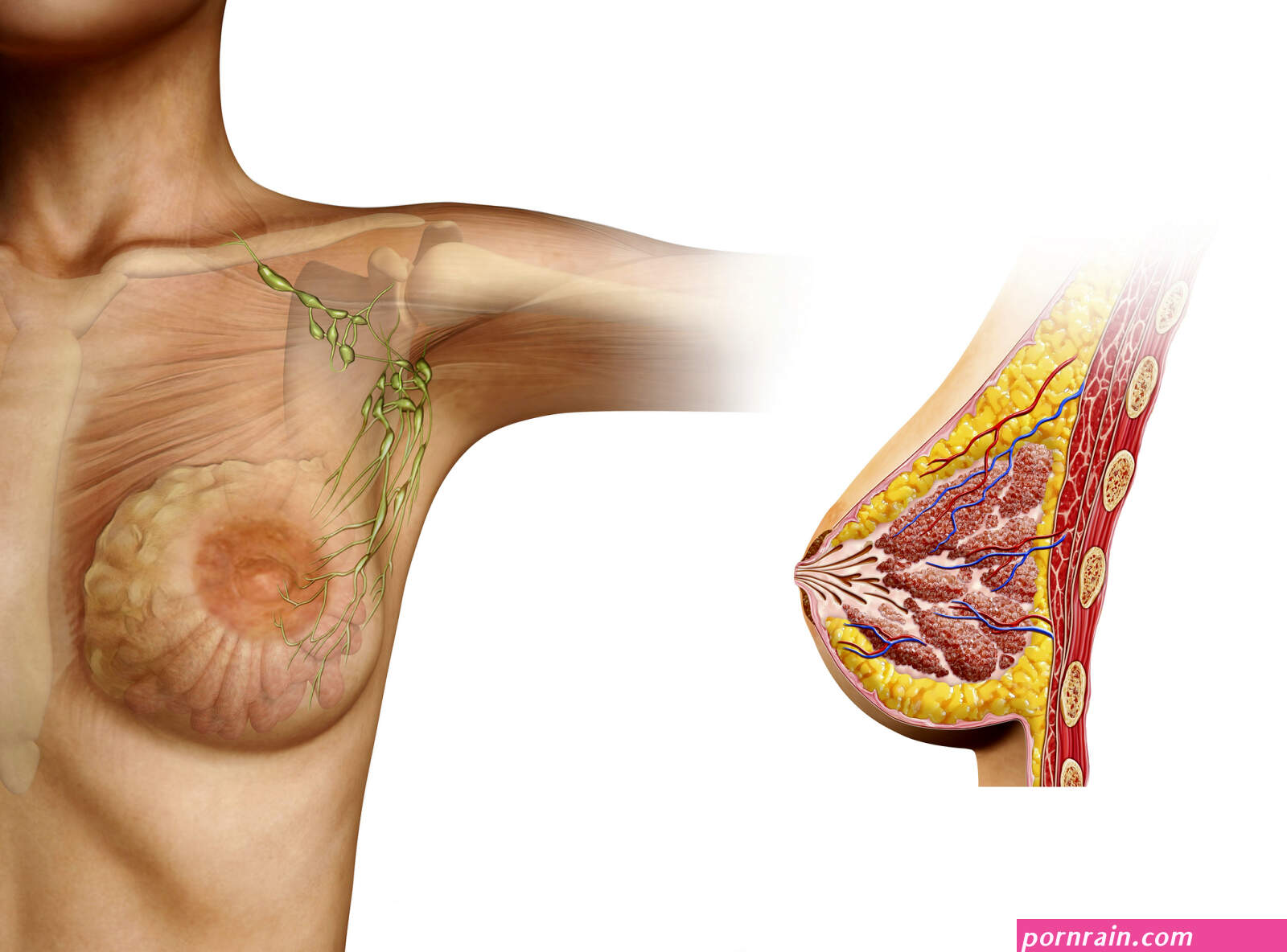 COVID Vaccine Side Effects May Mirror Breast Cancer Symptoms