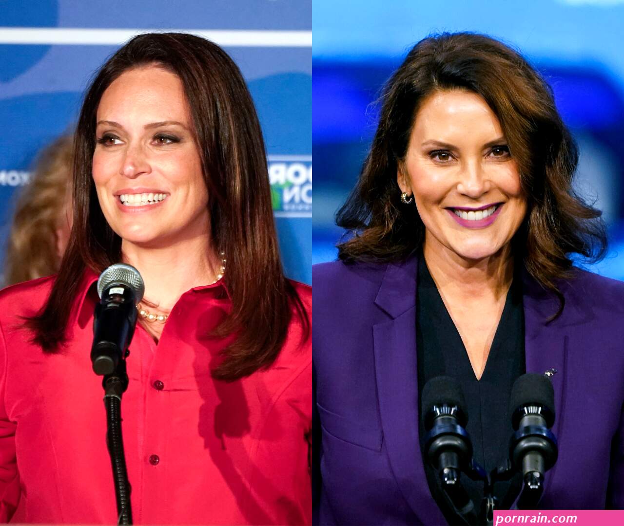 SHElection!: The Michigan Governors Race The Takeaway WNYC Studios