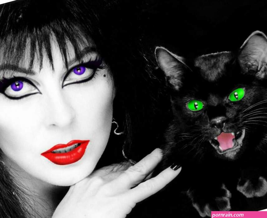 Pin by Scooter on Elvira Mistress of The Dark Cat people Cassandra peterson Mi