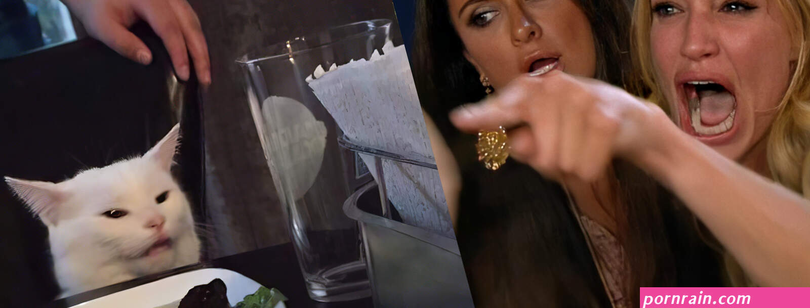 Woman Yelling at a Cat Template 3B Woman Yelling at a Cat Know Your Meme