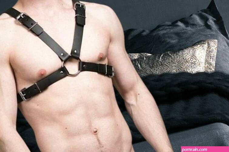 Gay Harness 101: Advice Recommendations For First-Timers Exploring Boundaries