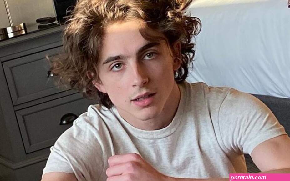 Timothee Chalamet Draws Funny Reactions After Admitting to Playing With Himsel