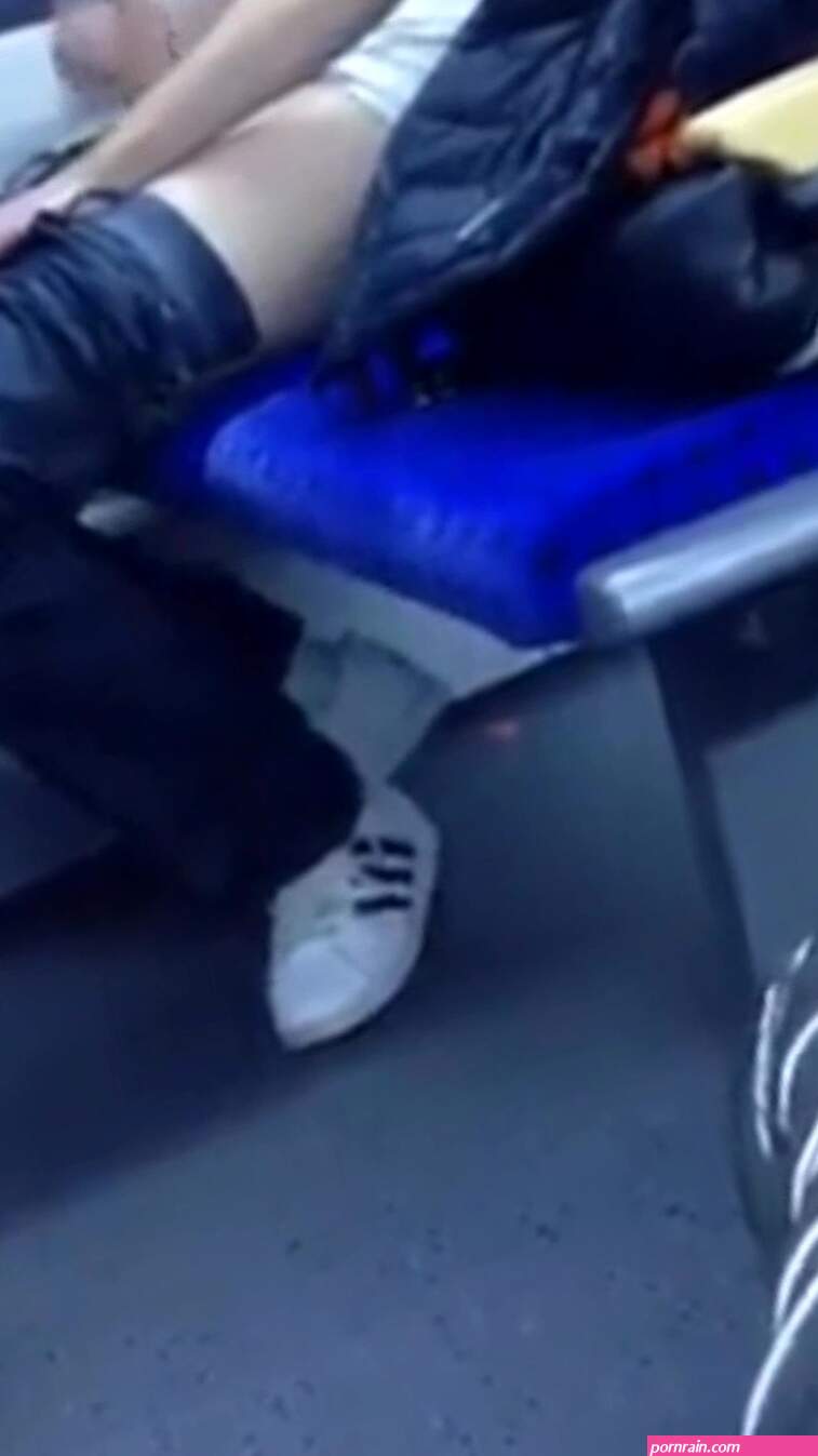 Public bus cum