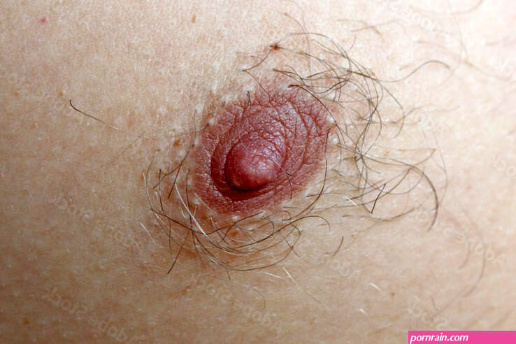 Male hairy nipple. Nipple with hair. Easy erotica and humor. Without epilation Stock