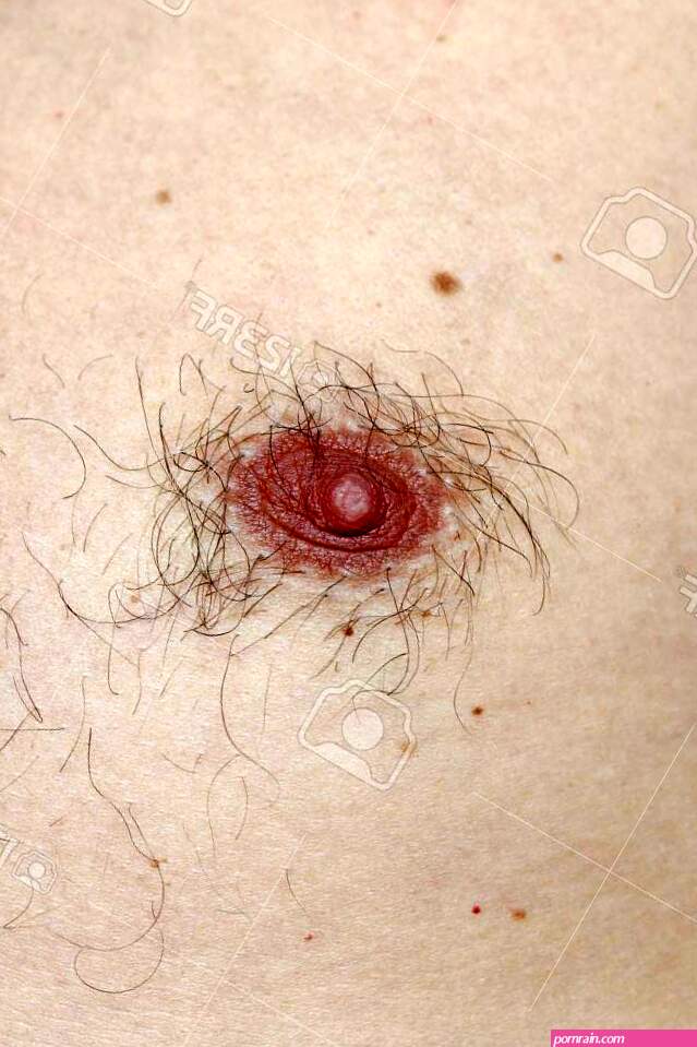 Male Hairy Nipple. Nipple With Hair. Easy Erotica And Humor. Without Epilation. -. Image 125058130