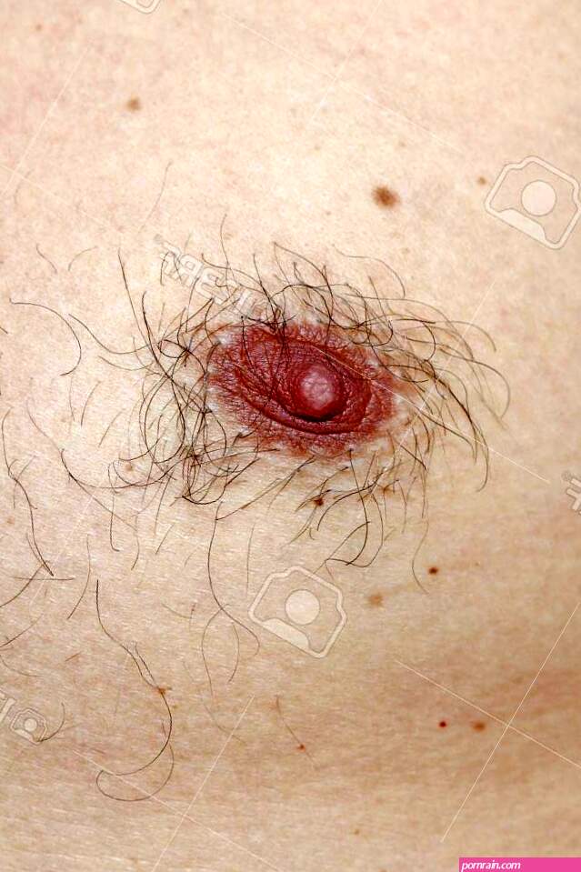 Male Hairy Nipple. Nipple With Hair. Easy Erotica And Humor. Without Epilation. -. Image 130618730