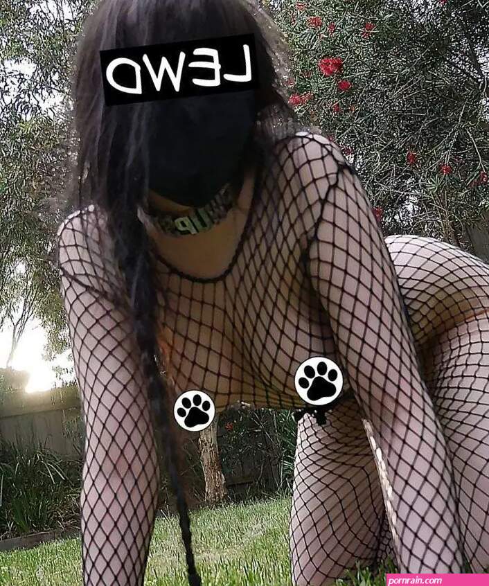 Pwupster leaks