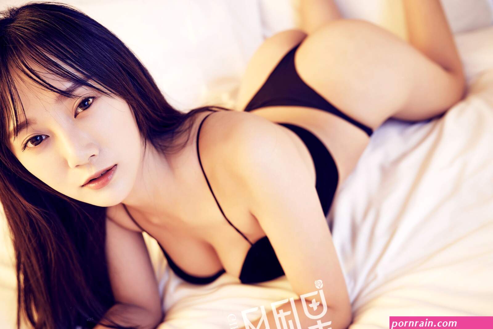 Aya Curve YS Web Vol.444