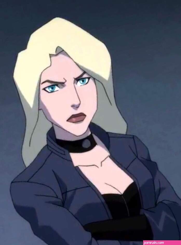 Black Canary Young Justice Black canary Black canary costume Black canary comi