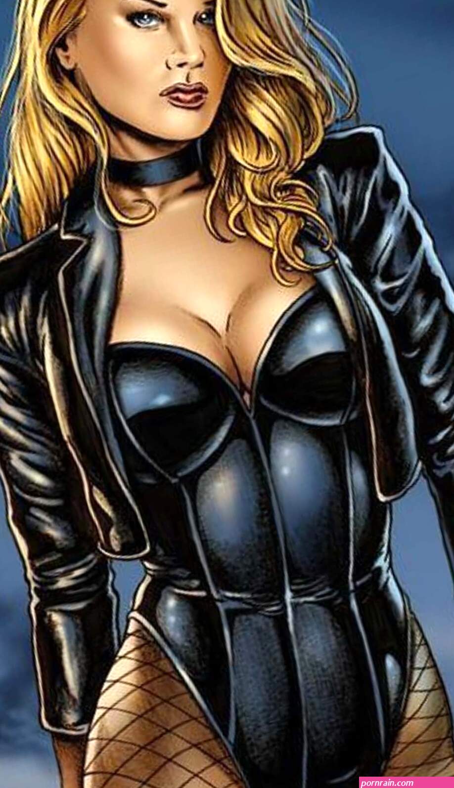 The Best Black Canary Pictures Ranked By Fans