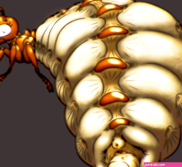 Rule 34