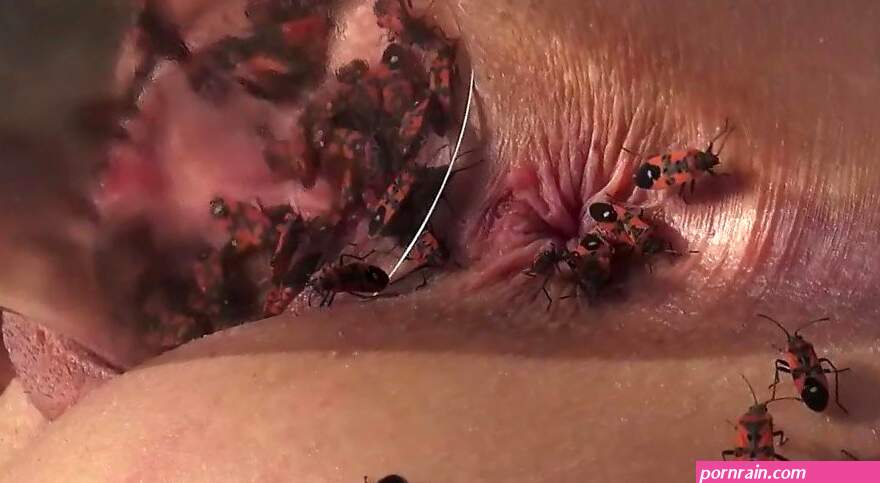 Naked blonde loves ants crawling on her pussy and butt hole