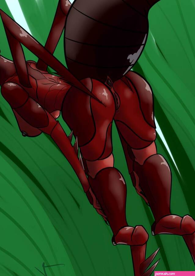 Rule 34