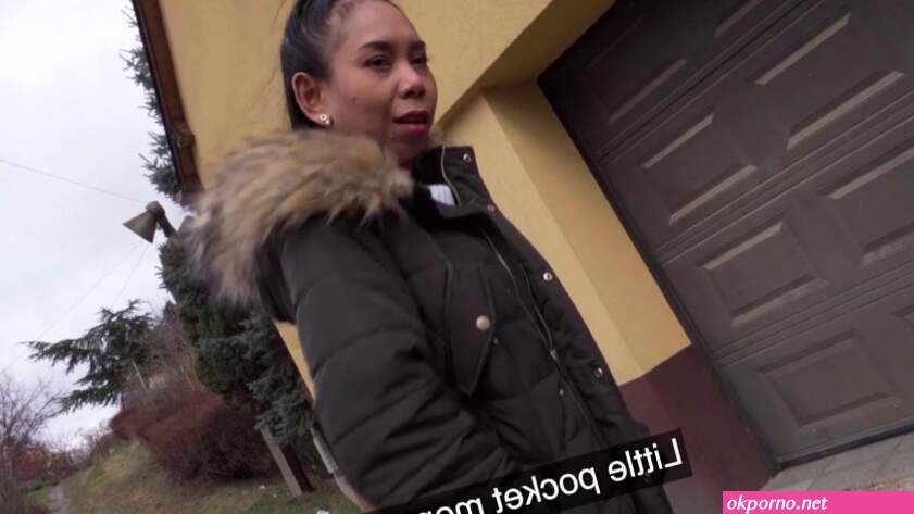 Public Agent