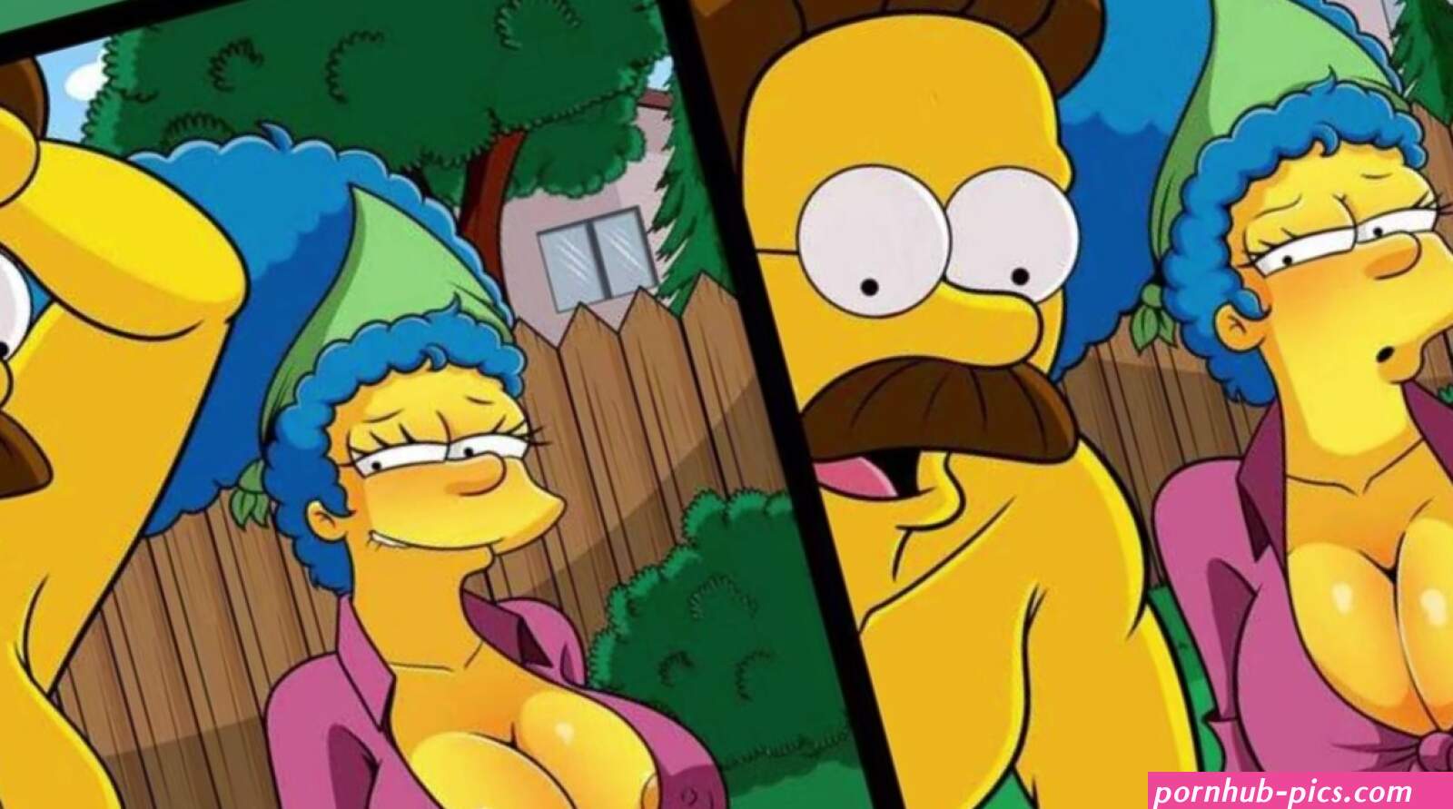 The Simpsons adult comics