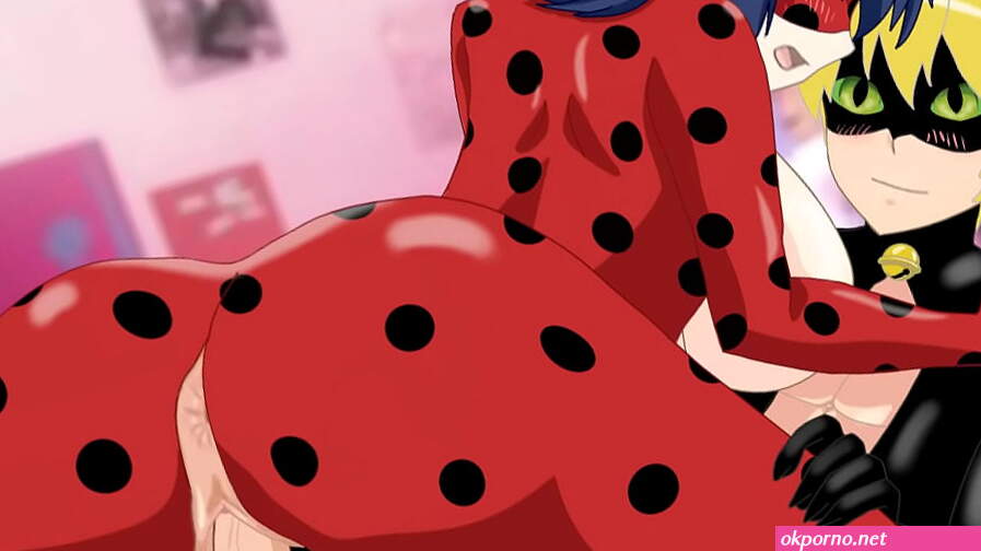 Ladybug X Cat noir