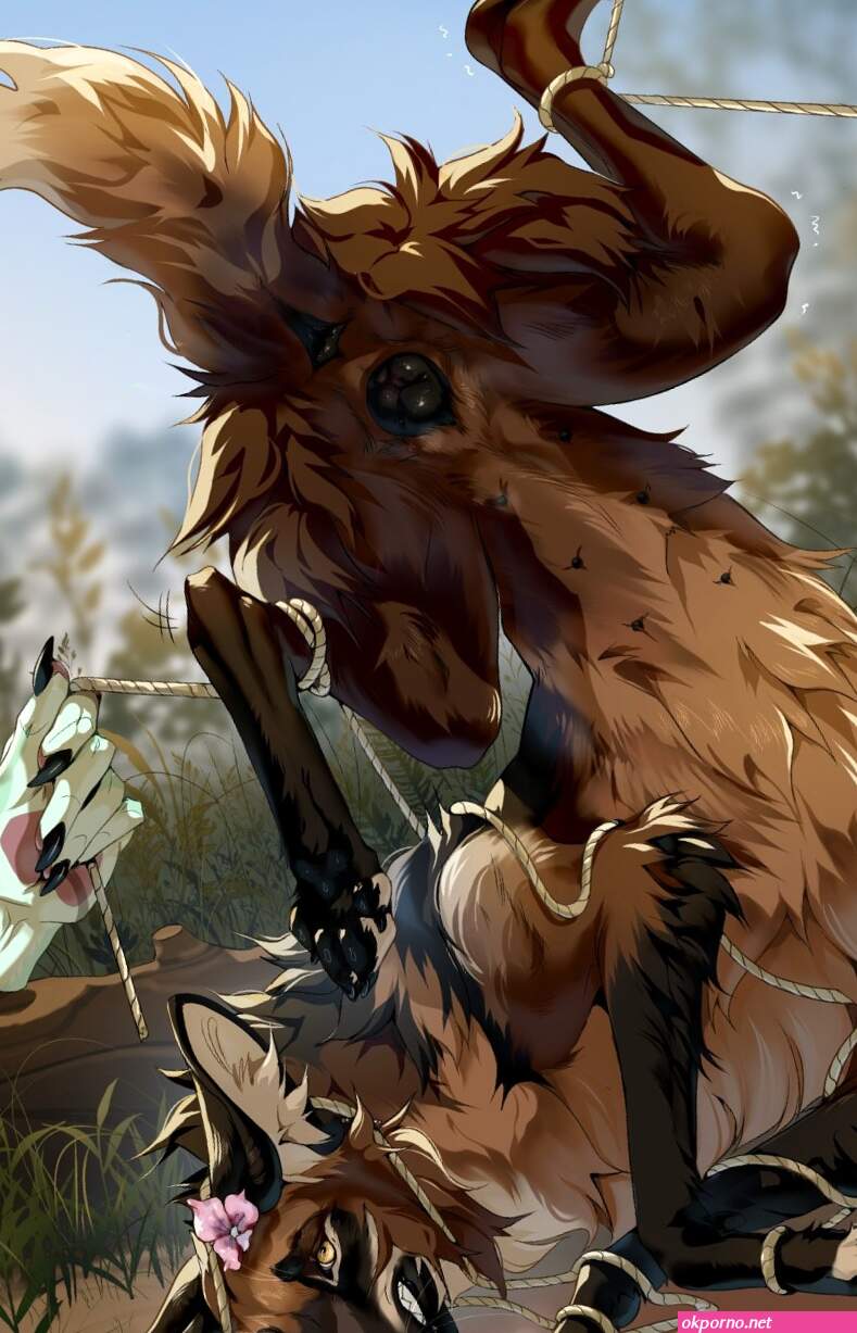 meinir runapup aseniyaaa animal genitalia animal pussy anus
