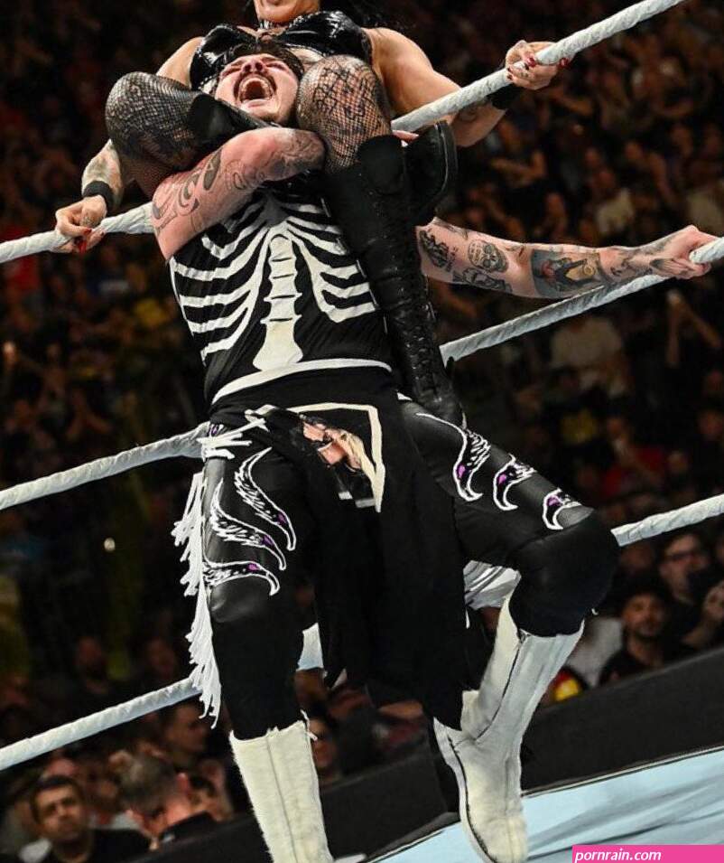 6 Villainous Thoughts on WWEs Bash in Berlin