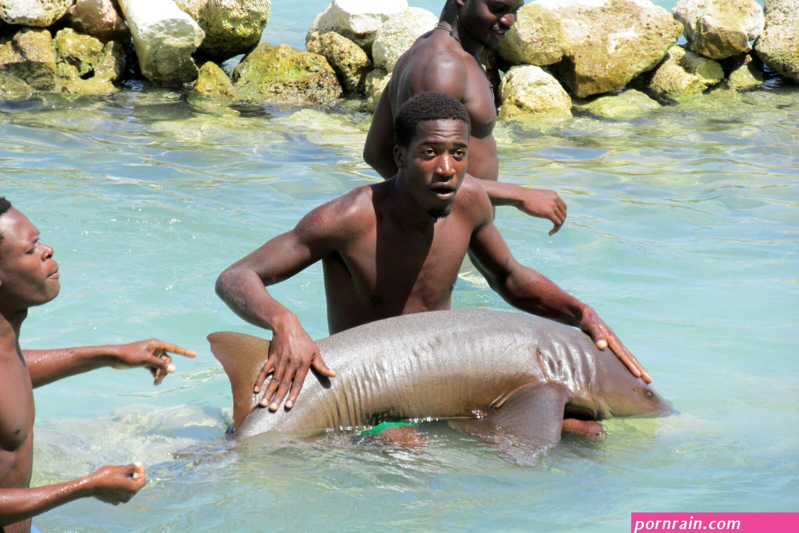 Naked beach jamaica