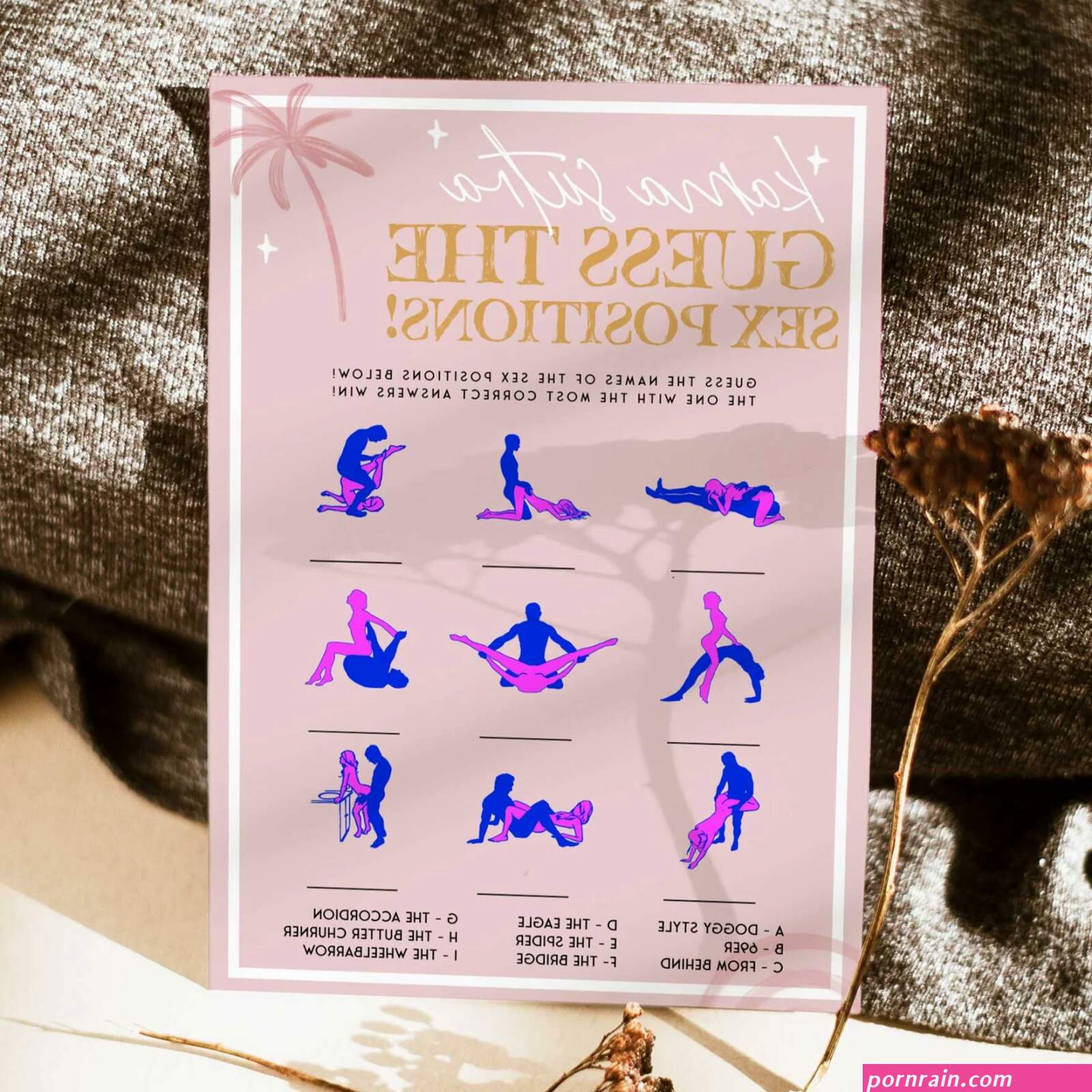 Sex positions book