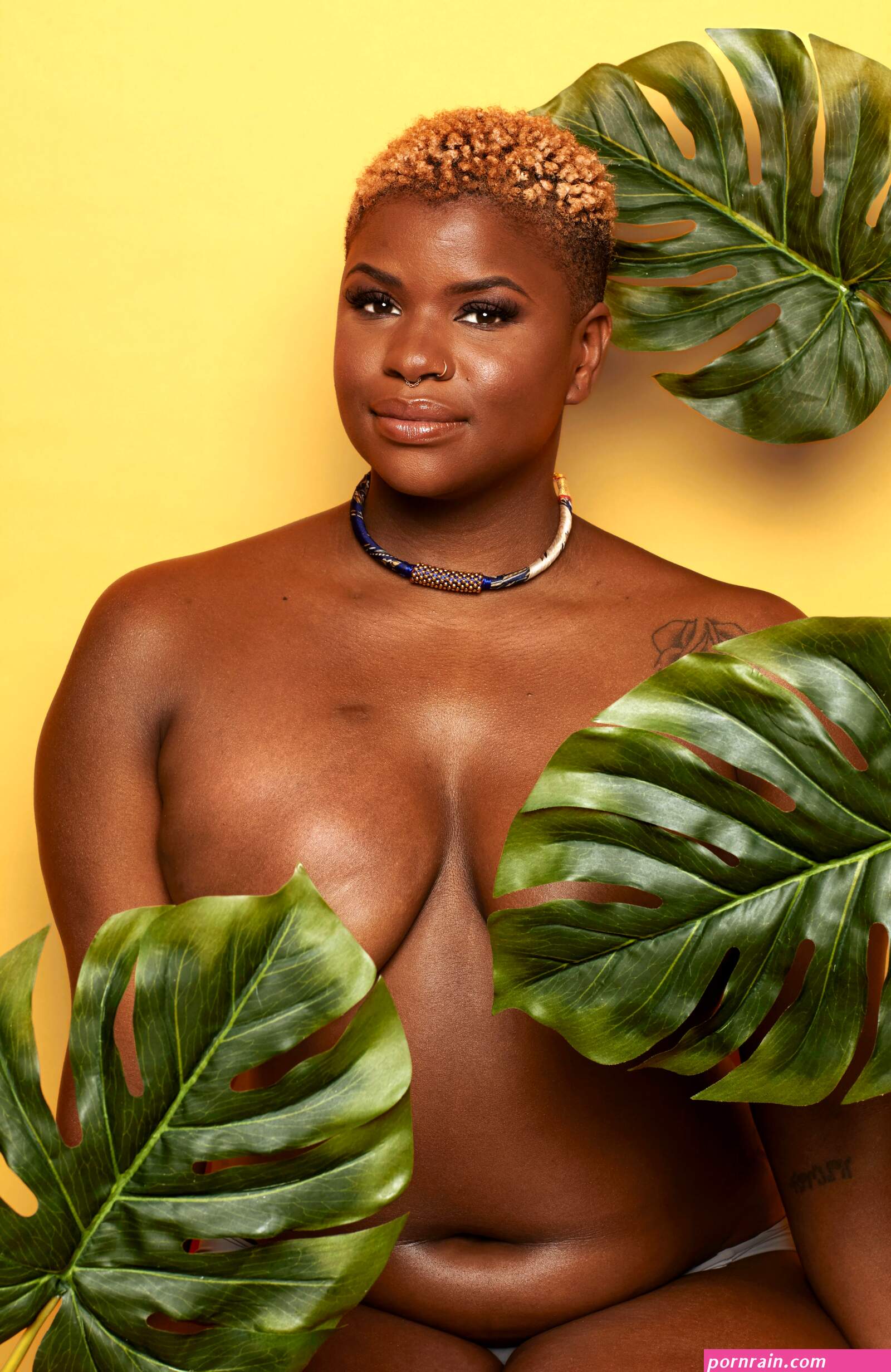 Balck tits