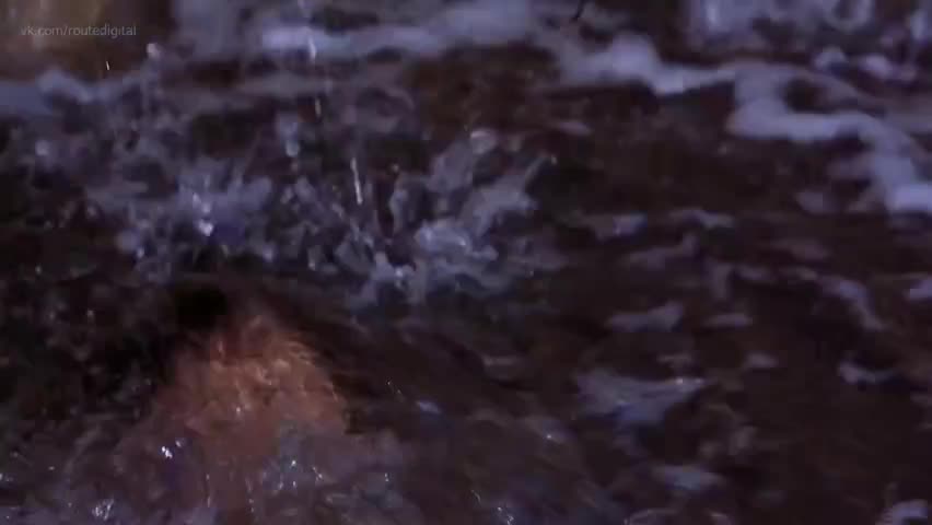 Kelly hu nud