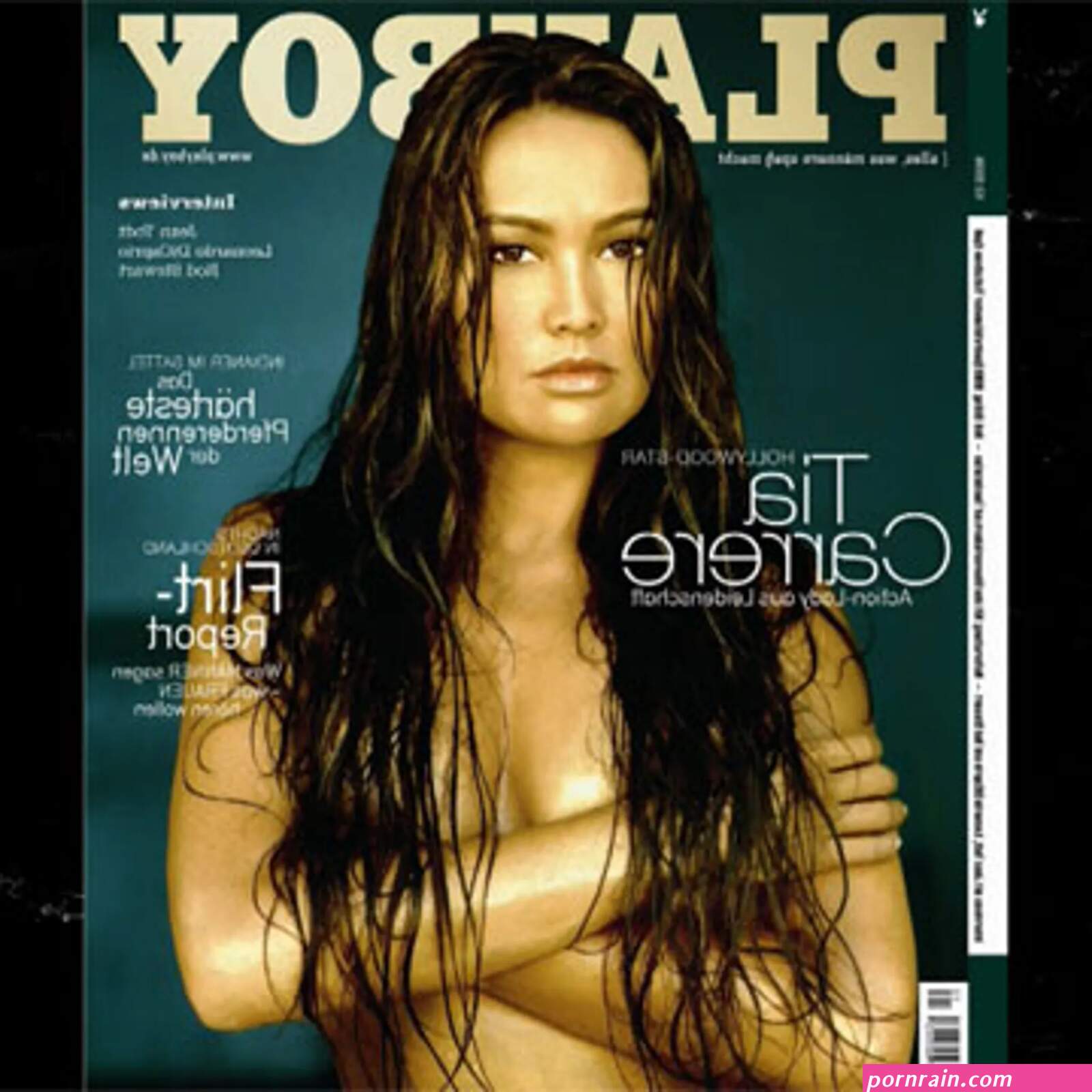 Tia carrere in the nude