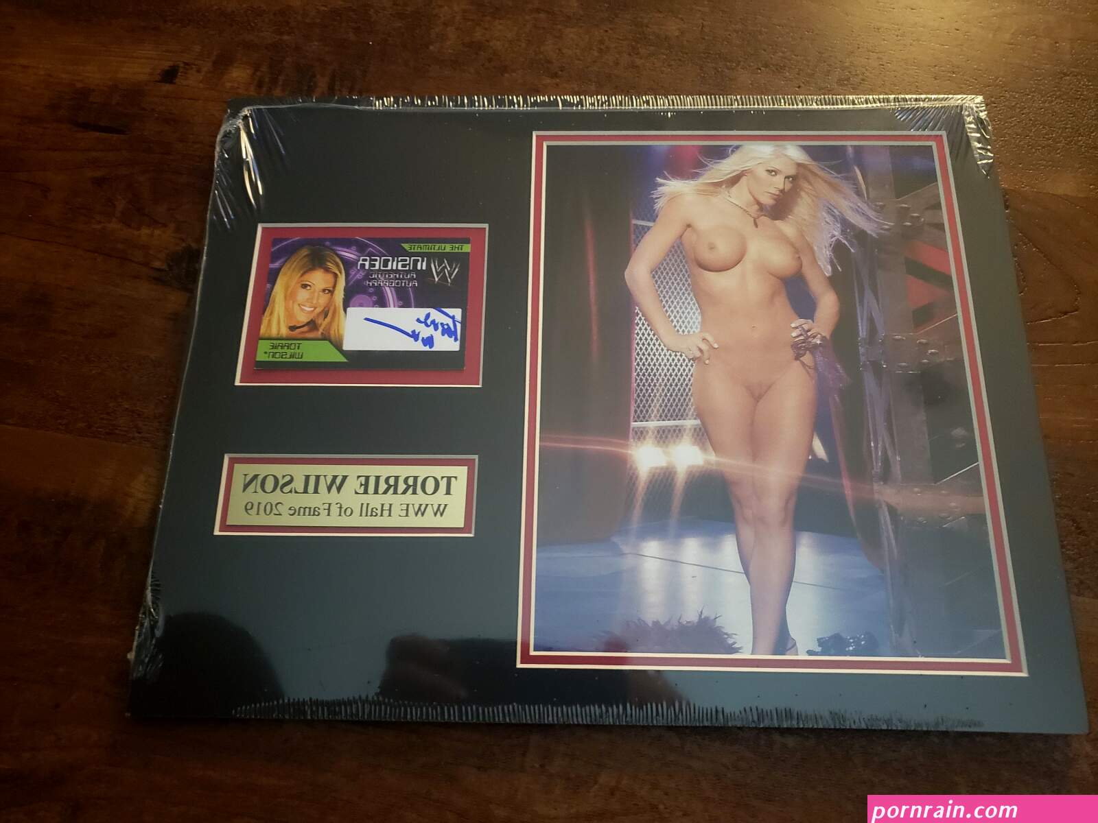 Torrie wilson nude
