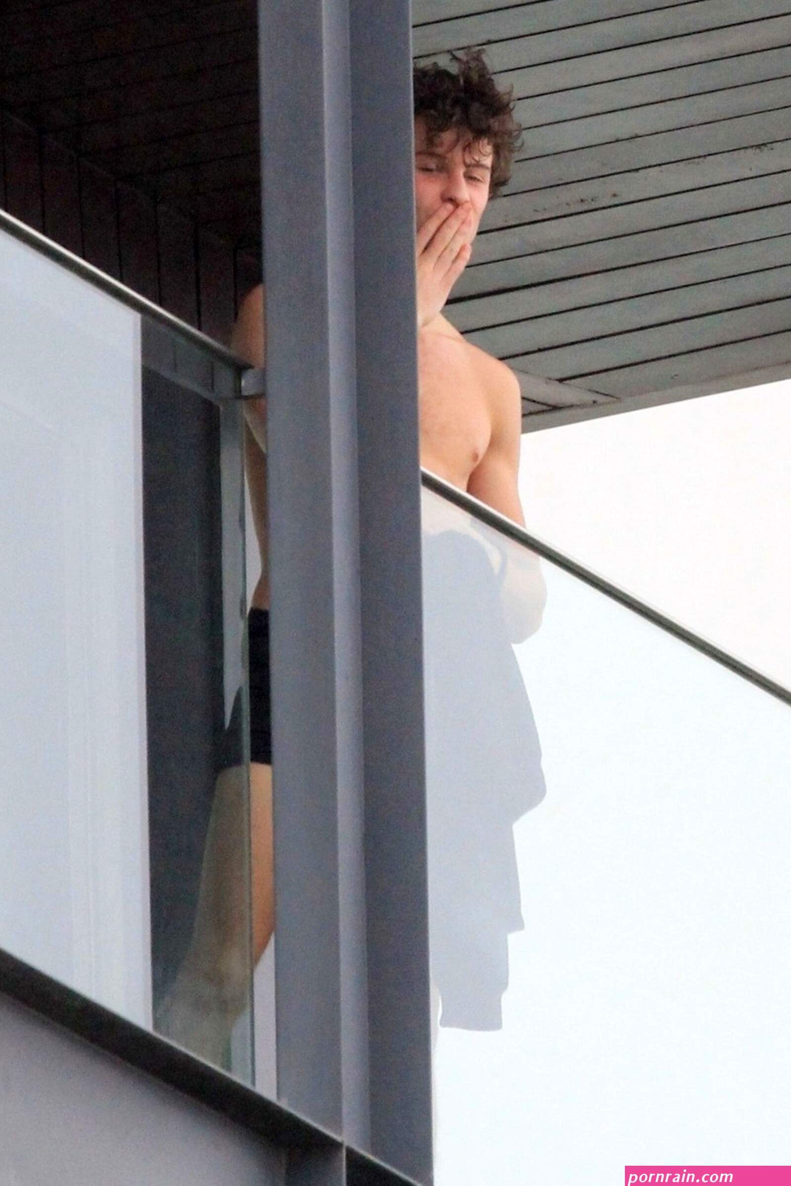 Shawn mended naked