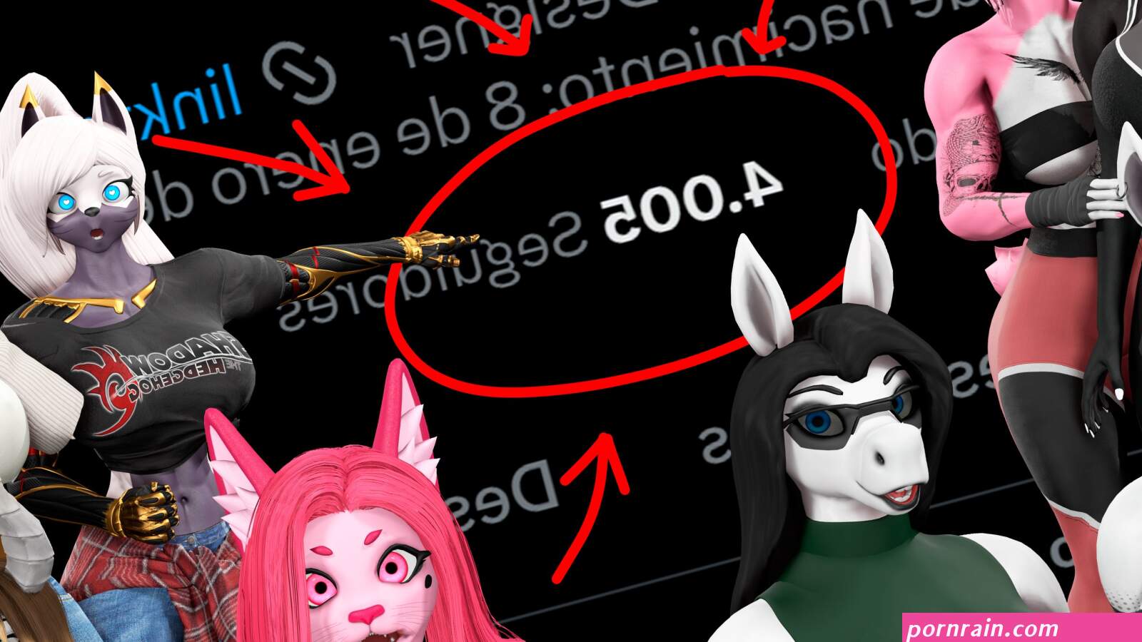 Virtusldollxo